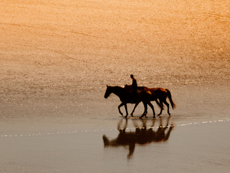 raglan horse riding